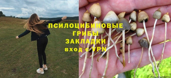 твердый Абдулино