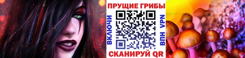 KRAKEN ссылка  Ряжск  Галлюциногенные грибы Cubensis  где купить наркоту 